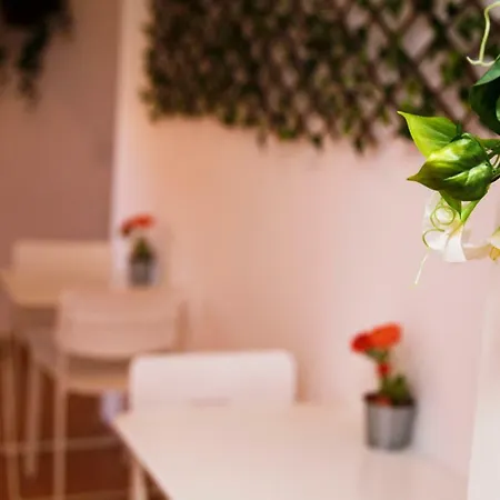 Nice Meeting You Лиссабон